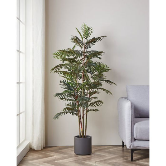 PINATA ARTIFICILAE | YUBETSU